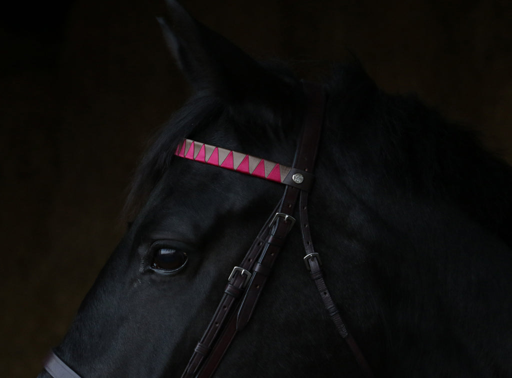 SHARKTOOTH BROWBAND